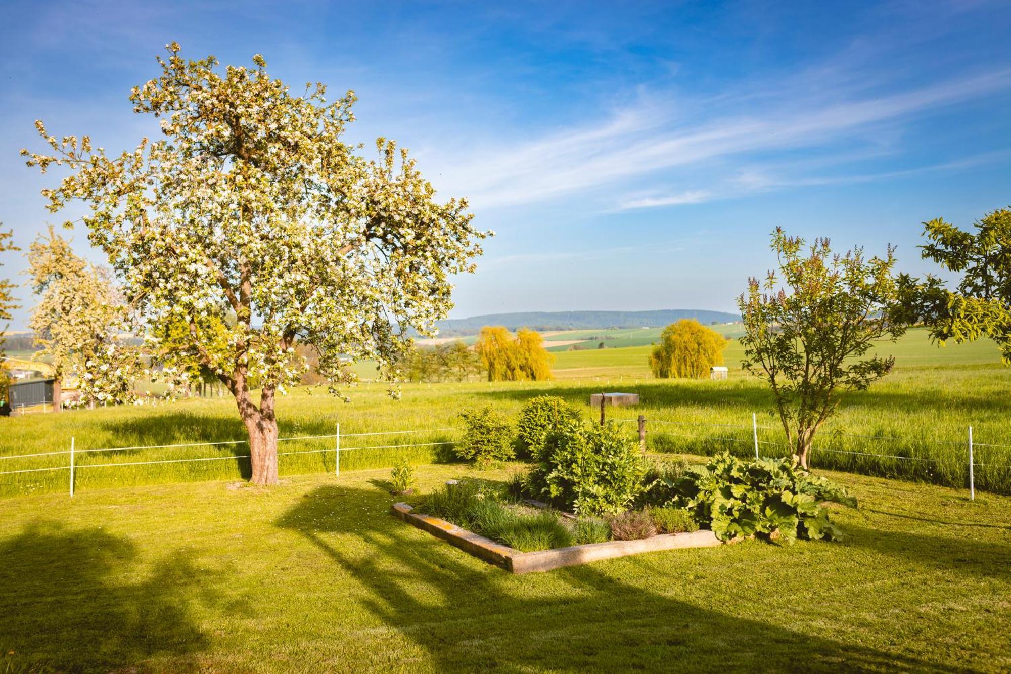 Gasthof Drei Schwanen Langenwetzendorf Exteriör bild